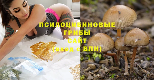 кокаин Алексеевка